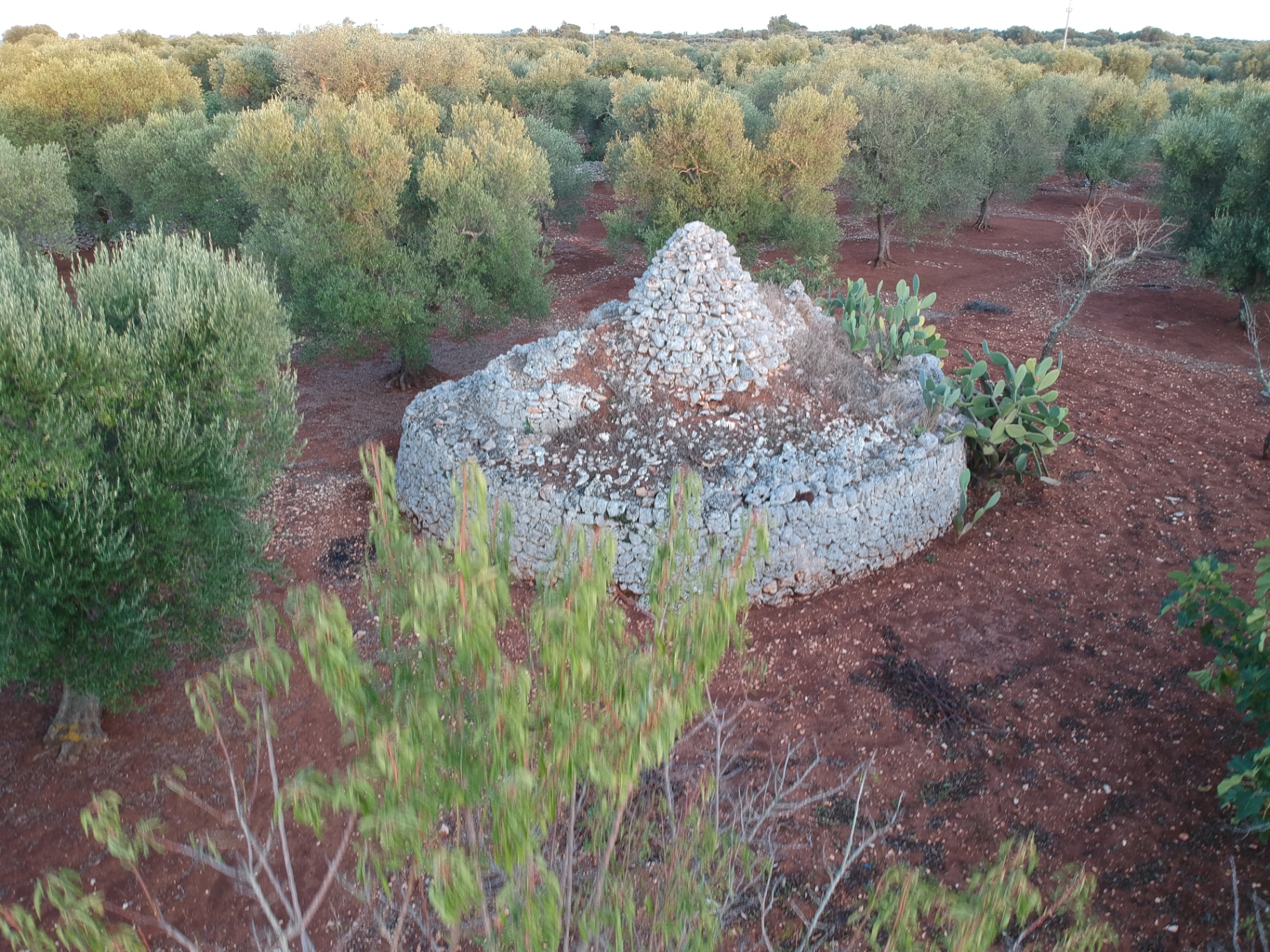 Dolce Puglia — vue 16 du projet immobilier