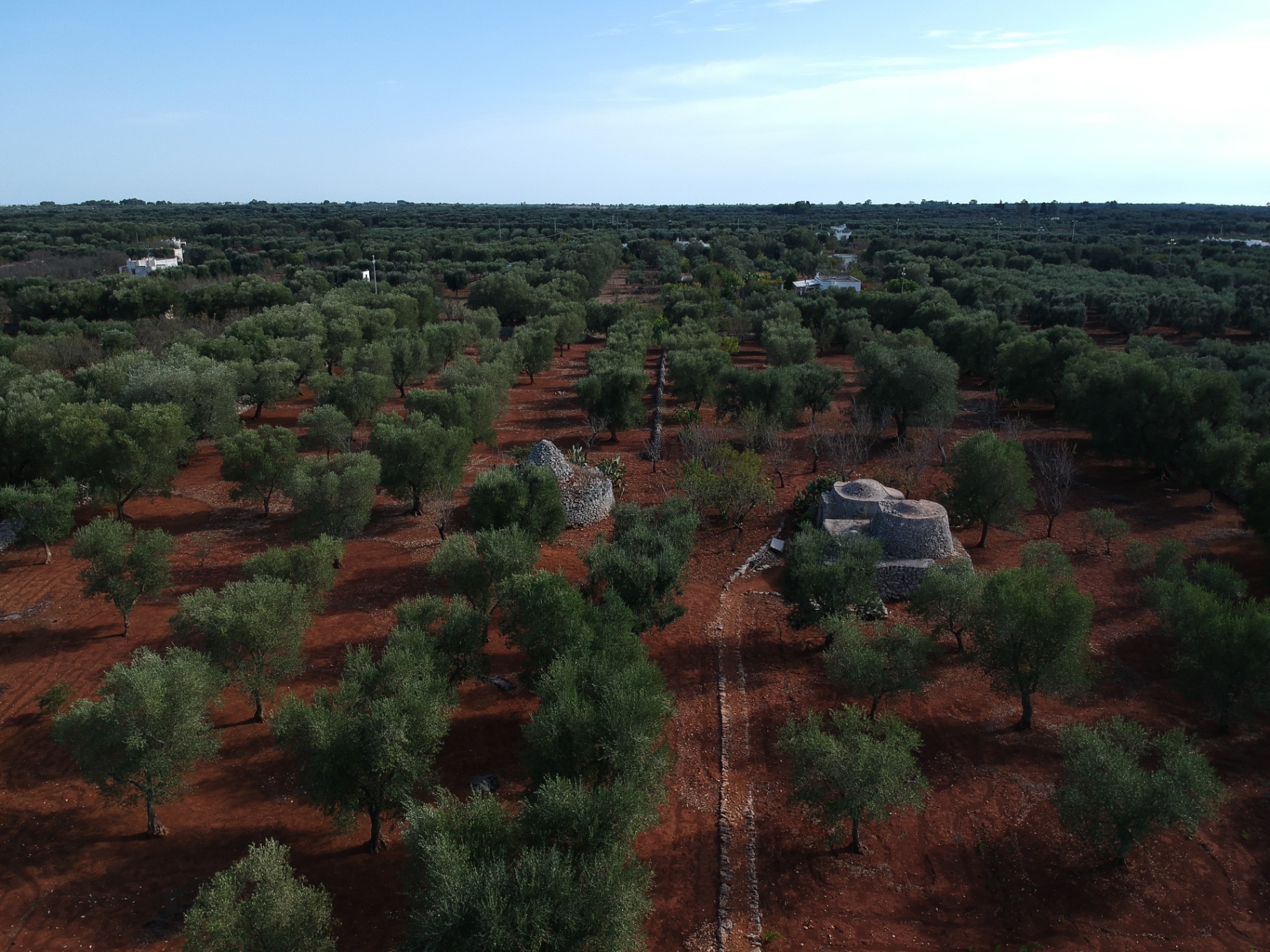 Dolce Puglia — vue 11 du projet immobilier